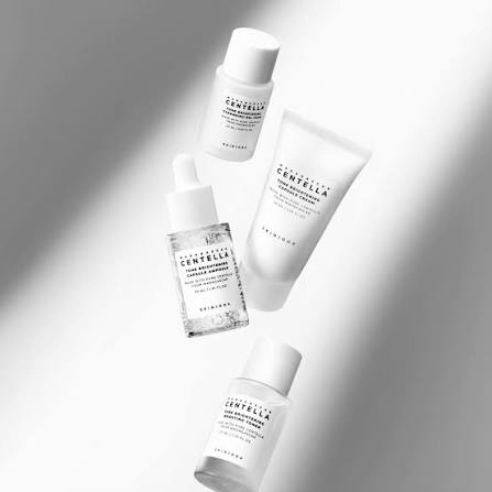 SKIN1004 Madagascar centella tone brightening travel kit